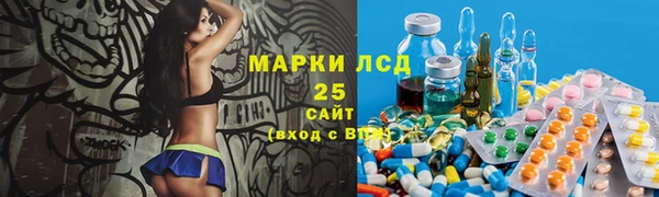 крисы Горняк