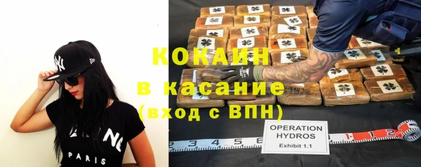 крисы Горняк