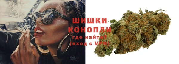 крисы Горняк