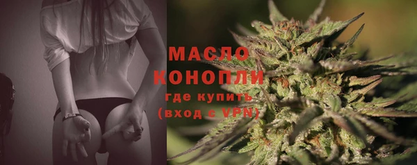 крисы Горняк