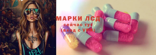 крисы Горняк