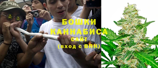 крисы Горняк