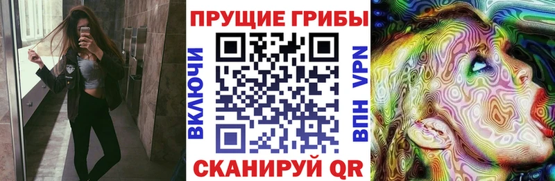где можно купить наркотик  Яранск  Галлюциногенные грибы MAGIC MUSHROOMS 